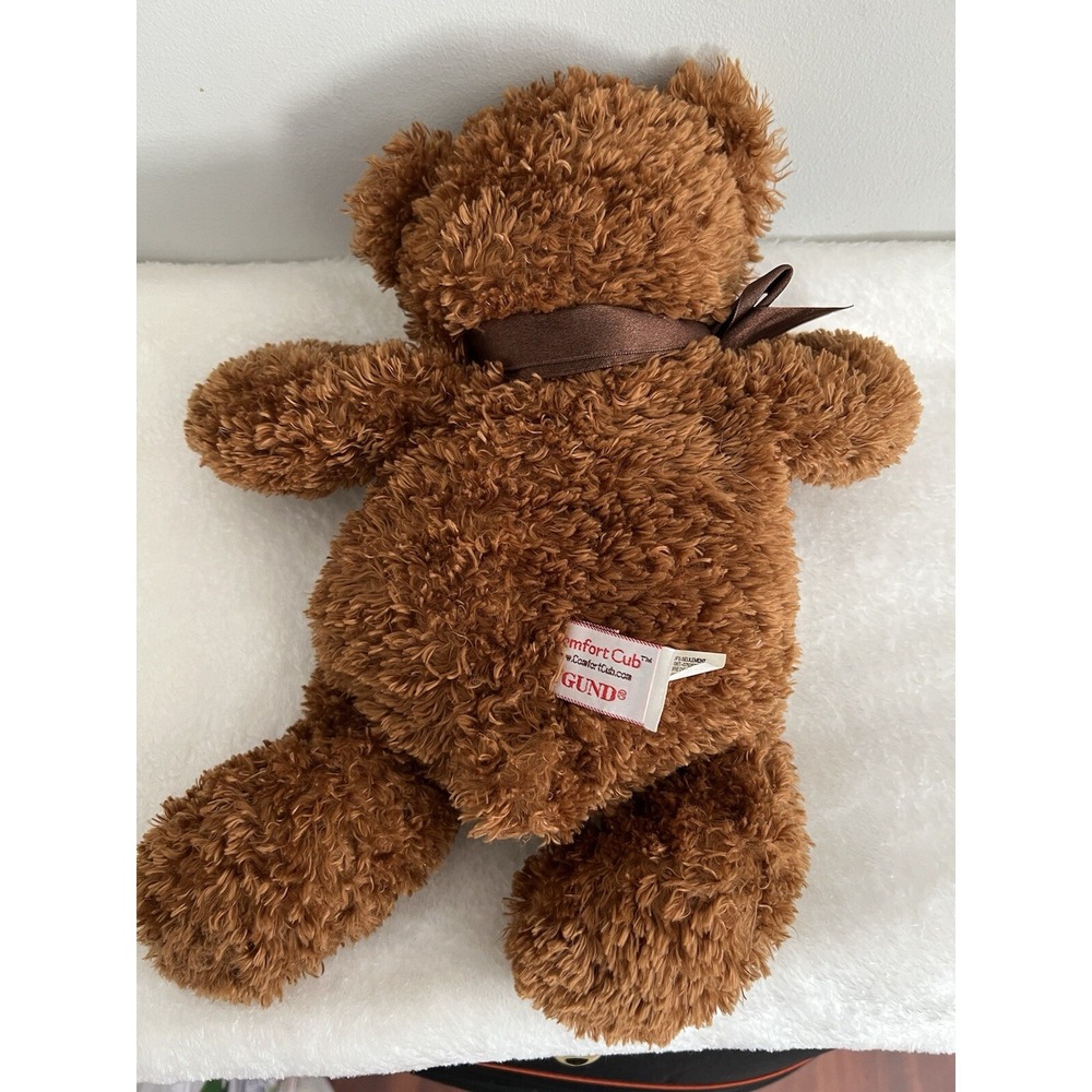 Gund Comfort Cub Brown Teddy Bear Hidden Heart lock Picture Memories Inside - Picture 4 of 9